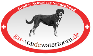 gss-vondewatertoorn.de
